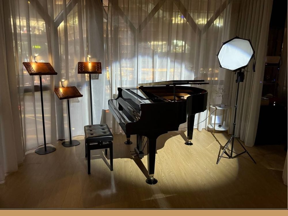 Music Studio with the Yamaha grand piano